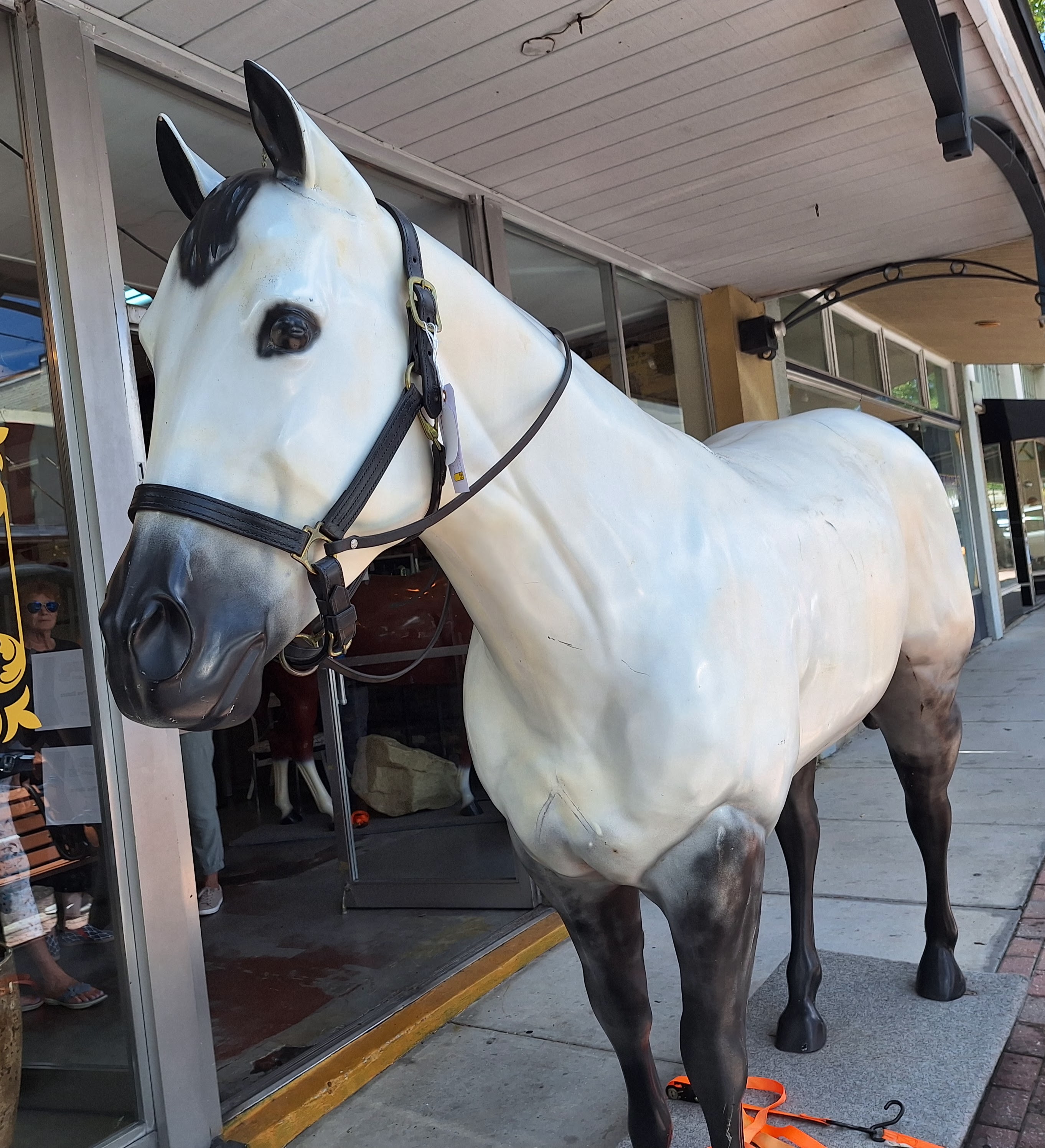 Quarter Horse Life Size Fiberglass in Stock > Life Size Horses